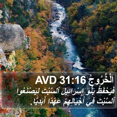 اَلْخُرُوجُ 31:16 AVD Bible Verse Image