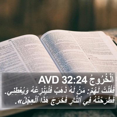 اَلْخُرُوجُ 32:24 AVD Bible Verse Image