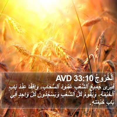 اَلْخُرُوجُ 33:10 AVD Bible Verse Image