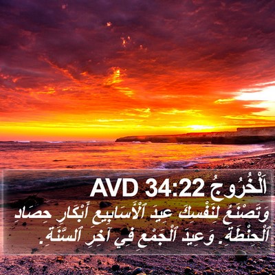 اَلْخُرُوجُ 34:22 AVD Bible Verse Image