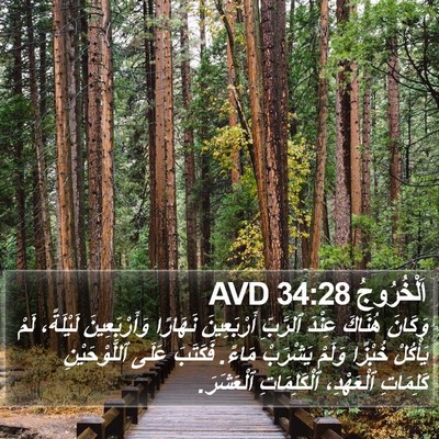 اَلْخُرُوجُ 34:28 AVD Bible Verse Image