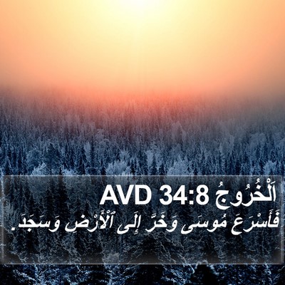 اَلْخُرُوجُ 34:8 AVD Bible Verse Image