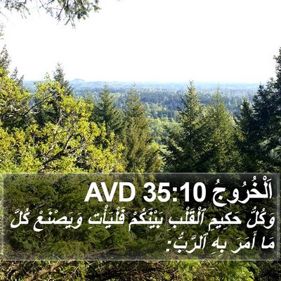 اَلْخُرُوجُ 35:10 AVD Bible Verse Image