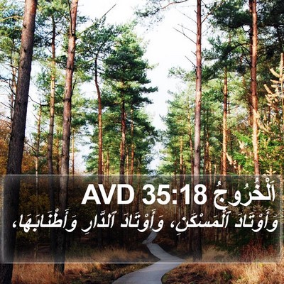 اَلْخُرُوجُ 35:18 AVD Bible Verse Image