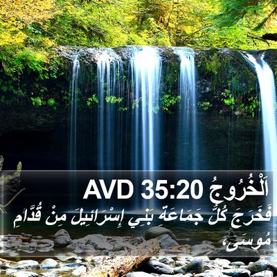 اَلْخُرُوجُ 35:20 AVD Bible Verse Image