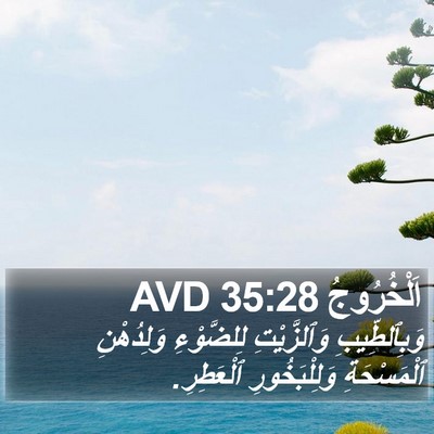 اَلْخُرُوجُ 35:28 AVD Bible Verse Image