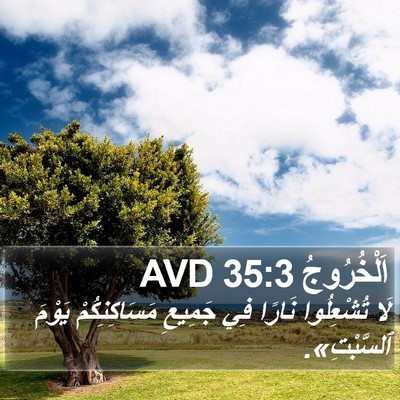 اَلْخُرُوجُ 35:3 AVD Bible Verse Image