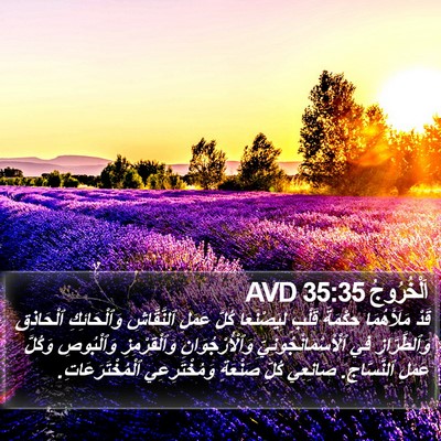 اَلْخُرُوجُ 35:35 AVD Bible Verse Image