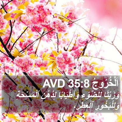 اَلْخُرُوجُ 35:8 AVD Bible Verse Image