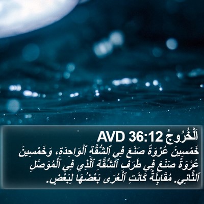 اَلْخُرُوجُ 36:12 AVD Bible Verse Image