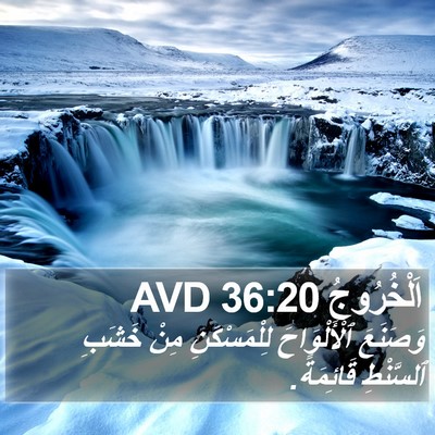اَلْخُرُوجُ 36:20 AVD Bible Verse Image