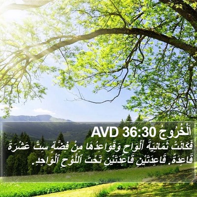 اَلْخُرُوجُ 36:30 AVD Bible Verse Image