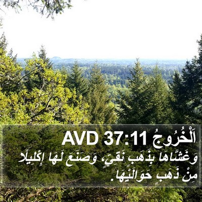 اَلْخُرُوجُ 37:11 AVD Bible Verse Image