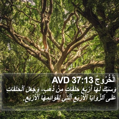 اَلْخُرُوجُ 37:13 AVD Bible Verse Image