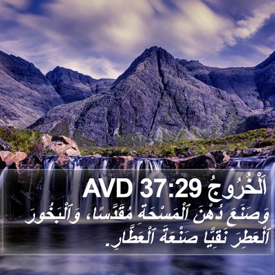 اَلْخُرُوجُ 37:29 AVD Bible Verse Image