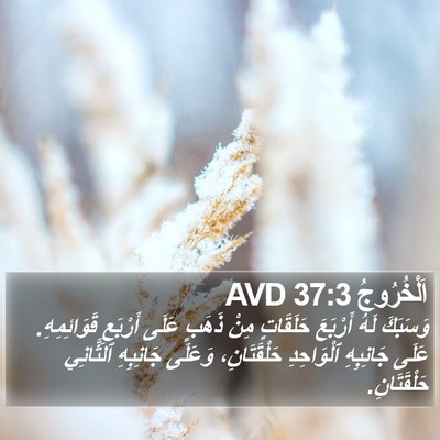 اَلْخُرُوجُ 37:3 AVD Bible Verse Image