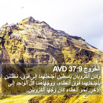 اَلْخُرُوجُ 37:9 AVD Bible Verse Image