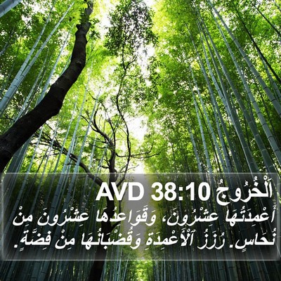 اَلْخُرُوجُ 38:10 AVD Bible Verse Image