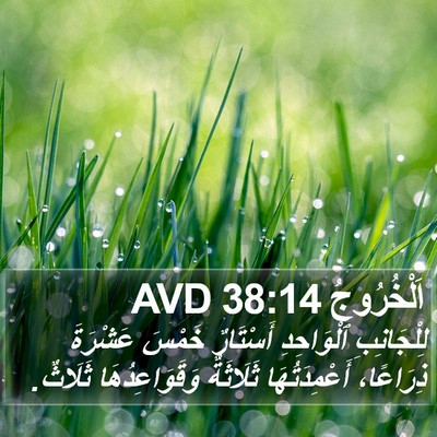 اَلْخُرُوجُ 38:14 AVD Bible Verse Image