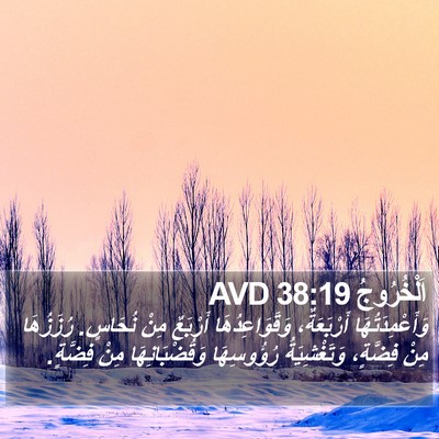 اَلْخُرُوجُ 38:19 AVD Bible Verse Image