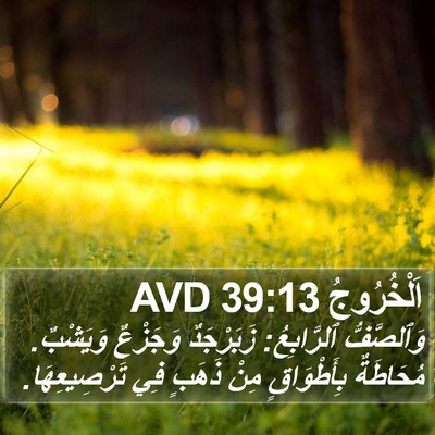 اَلْخُرُوجُ 39:13 AVD Bible Verse Image