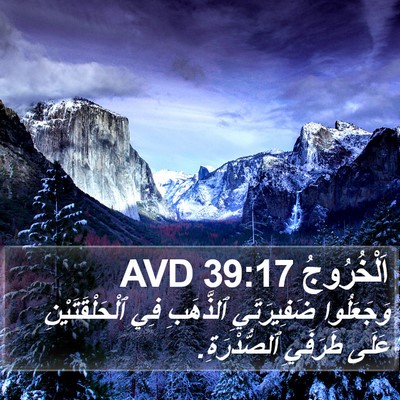 اَلْخُرُوجُ 39:17 AVD Bible Verse Image