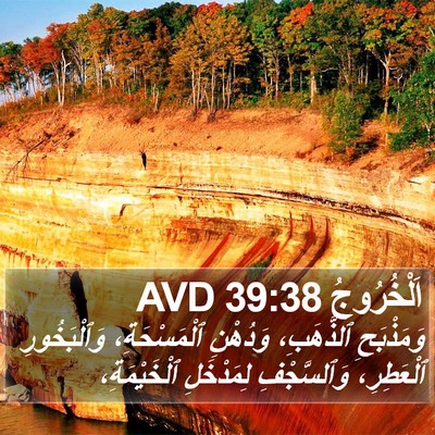 اَلْخُرُوجُ 39:38 AVD Bible Verse Image