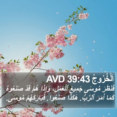 اَلْخُرُوجُ 39:43 AVD Bible Verse Image