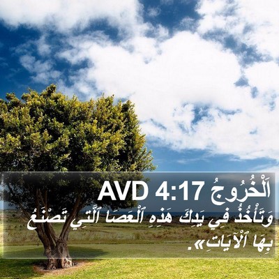 اَلْخُرُوجُ 4:17 AVD Bible Verse Image