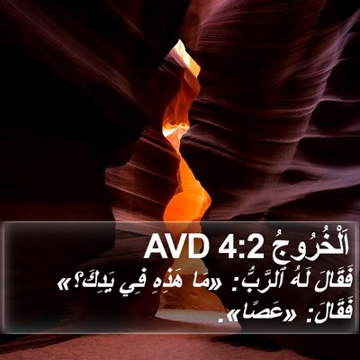 اَلْخُرُوجُ 4:2 AVD Bible Verse Image