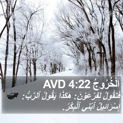 اَلْخُرُوجُ 4:22 AVD Bible Verse Image