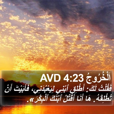 اَلْخُرُوجُ 4:23 AVD Bible Verse Image