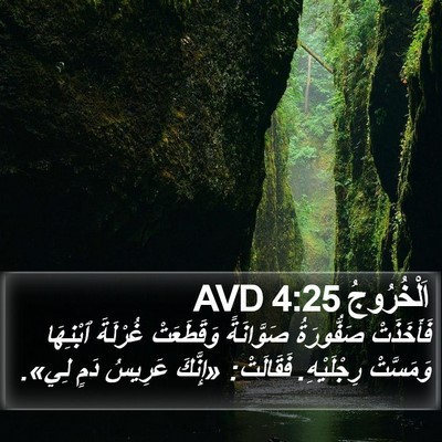 اَلْخُرُوجُ 4:25 AVD Bible Verse Image
