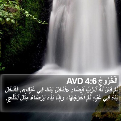 اَلْخُرُوجُ 4:6 AVD Bible Verse Image