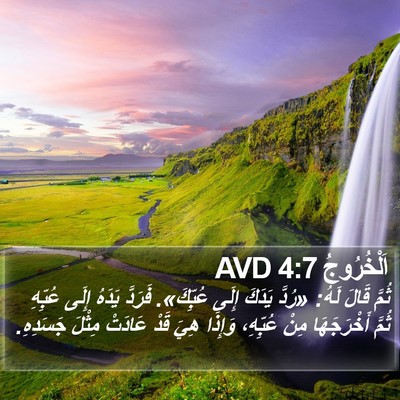 اَلْخُرُوجُ 4:7 AVD Bible Verse Image