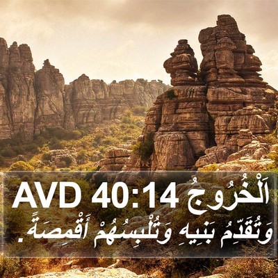 اَلْخُرُوجُ 40:14 AVD Bible Verse Image