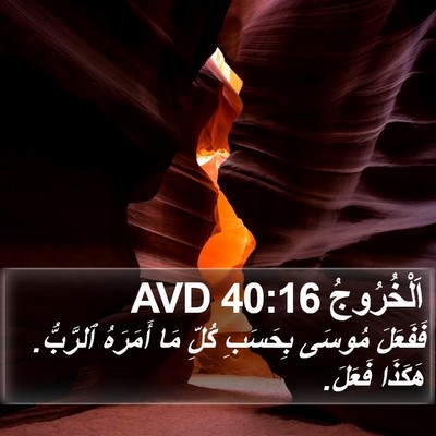 اَلْخُرُوجُ 40:16 AVD Bible Verse Image