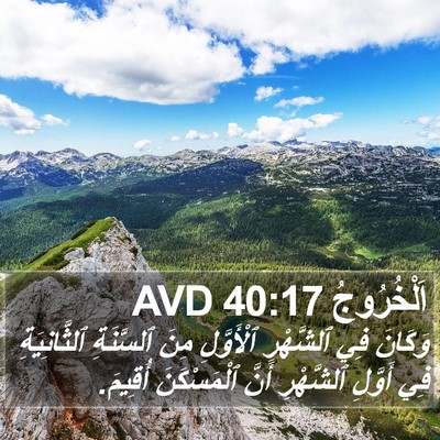 اَلْخُرُوجُ 40:17 AVD Bible Verse Image