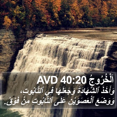 اَلْخُرُوجُ 40:20 AVD Bible Verse Image