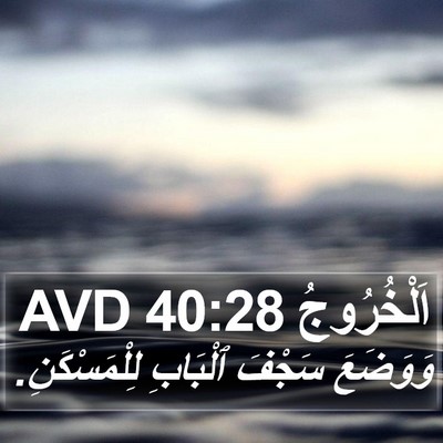 اَلْخُرُوجُ 40:28 AVD Bible Verse Image