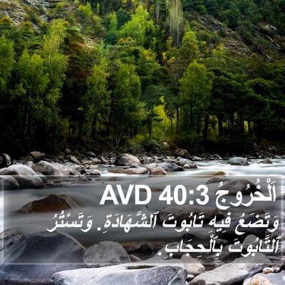 اَلْخُرُوجُ 40:3 AVD Bible Verse Image