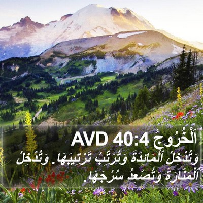 اَلْخُرُوجُ 40:4 AVD Bible Verse Image