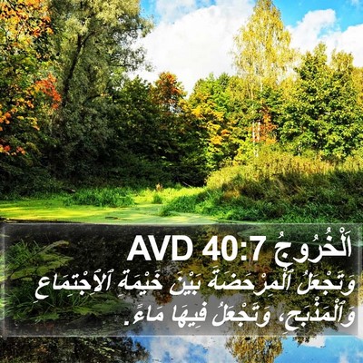اَلْخُرُوجُ 40:7 AVD Bible Verse Image