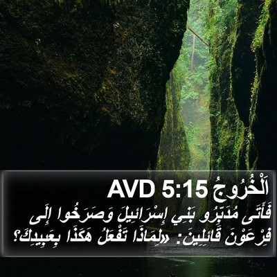 اَلْخُرُوجُ 5:15 AVD Bible Verse Image