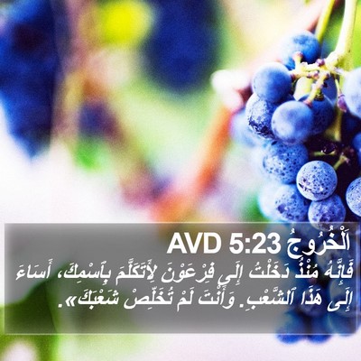 اَلْخُرُوجُ 5:23 AVD Bible Verse Image