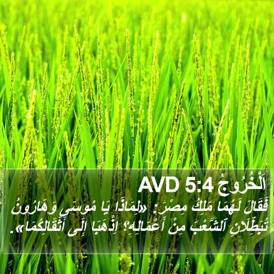 اَلْخُرُوجُ 5:4 AVD Bible Verse Image