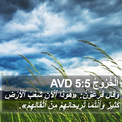 اَلْخُرُوجُ 5:5 AVD Bible Verse Image