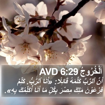 اَلْخُرُوجُ 6:29 AVD Bible Verse Image