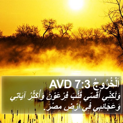 اَلْخُرُوجُ 7:3 AVD Bible Verse Image