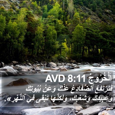 اَلْخُرُوجُ 8:11 AVD Bible Verse Image